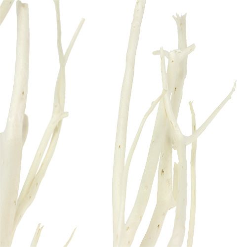 gjenstander Mitsumata greiner hvit 34-60cm 12stk