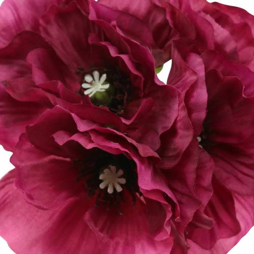 Floristik24 Valmue lilla 29cm 6stk