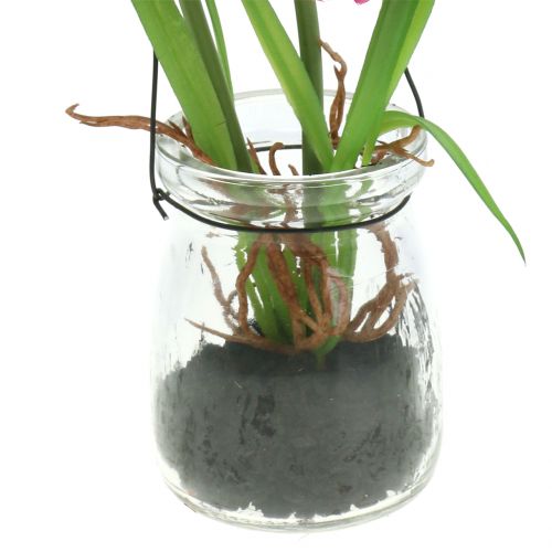 Floristik24 Valmue i et glass for å henge rosa H22cm