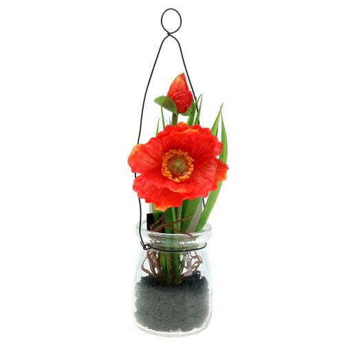 Valmueorange i et glass for oppheng av H22cm