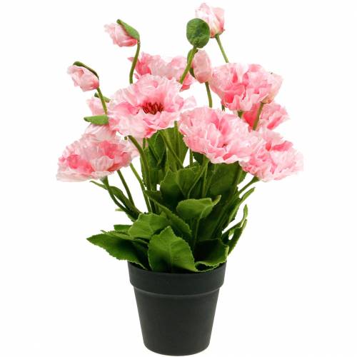 Floristik24 Orientalsk valmue, kunstig blomst, valmue i rosa gryte
