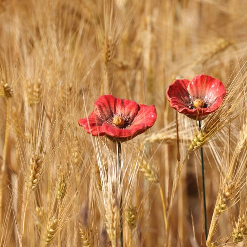 gjenstander Keramisk valmueblomst romantisk dekorasjon til vårhage og blomsterbed 31 cm 6 stk