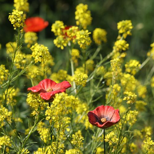 gjenstander Hagepike av valmue i keramikk, uvanlig design for blomsterbed, 52 cm, 2 stk.