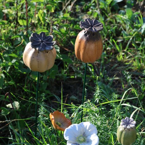 gjenstander Valmuefrøkapsel til hagepinne - dekorativt høydepunkt for hagedekorasjon og gjør-det-selv-prosjekter - 41 cm, 4 stk.