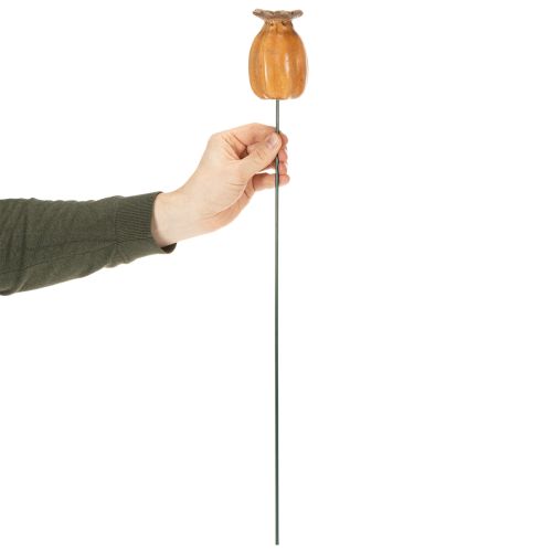 gjenstander Hagepinne med valmuefrøkapsel for stilig hagedesign, blomsterbed eller balkong, 60 cm, 2 stk.