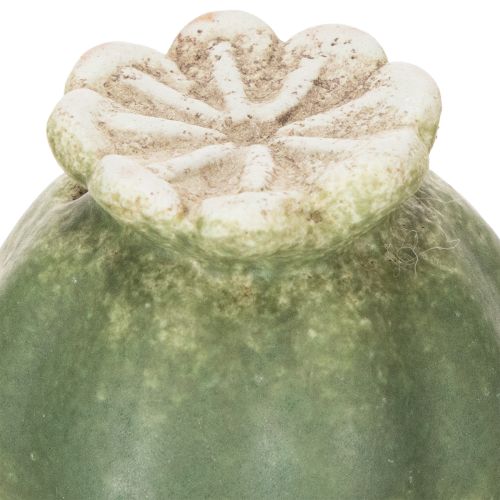 gjenstander Dekorativ stav av valmuefrøkapsel for sesongmessig hageeleganse eller balkonghøydepunkter, 41 cm, 4 stk.