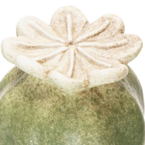 gjenstander Valmuefrøkapsler hagepynt for sjarmerende hagearrangementer 60 cm 2 stk