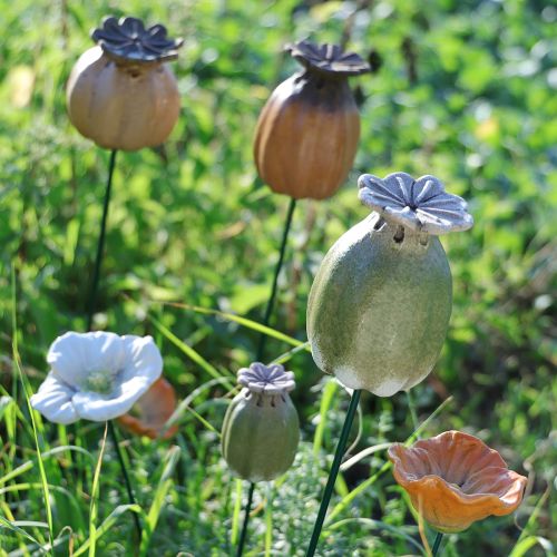 gjenstander Valmuefrøkapsler hagepynt for sjarmerende hagearrangementer 60 cm 2 stk