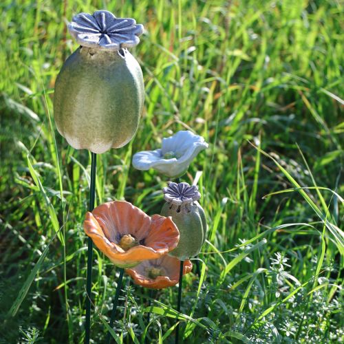 gjenstander Valmuefrøkapsler hagepynt for sjarmerende hagearrangementer 60 cm 2 stk