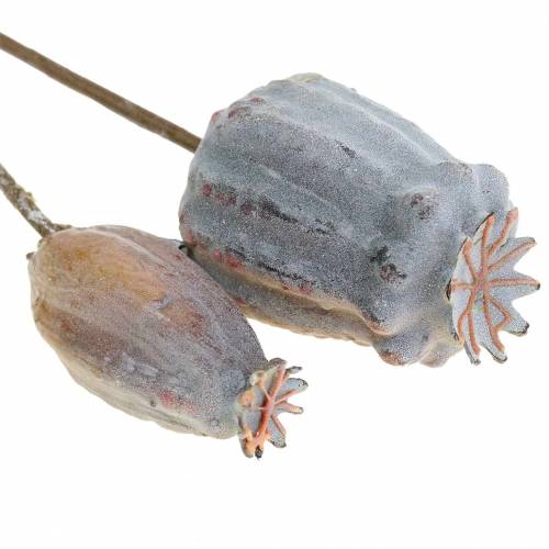 Floristik24 Kunstige valmuekapsler gule, brune 6stk