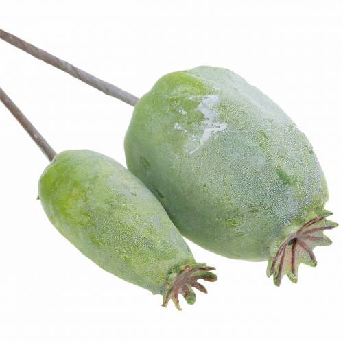 Floristik24 Kunstige valmuekapsler grønne 26cm/28cm 6stk