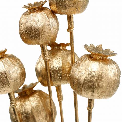 Floristik24 Valmuefrø kapsel på pinne gylden 59cm 6stk