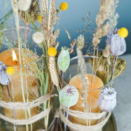 Floristik24 Kunstige valmuekapsler grønne 26cm/28cm 6stk