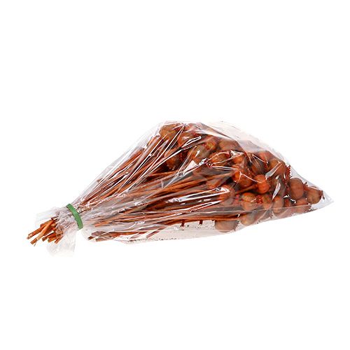 Floristik24 Valmuehoder farget oransje 100 stk