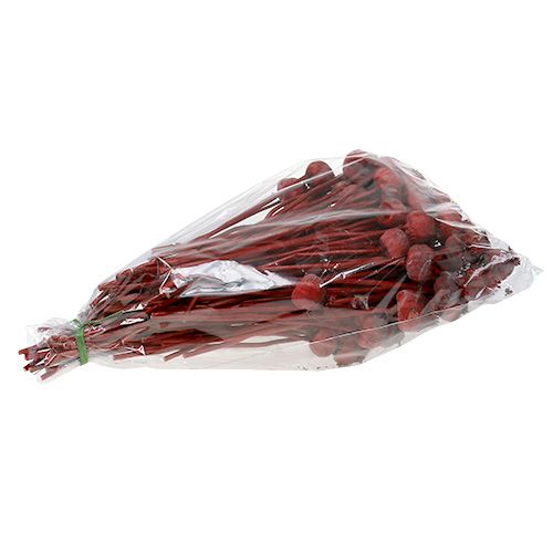 Floristik24 Valmuehoder farget røde 100 stk