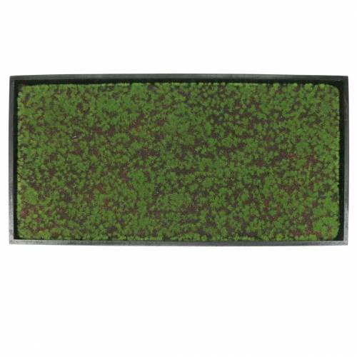 Veggmaleri mose i grønn ramme 60x30cm Veggdekor av mose