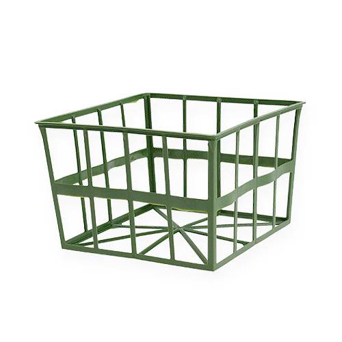 Floristik24 Moserist 1/2 30 stk