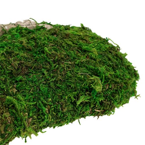 Floristik24 Moshjerte med roselindring 30cm