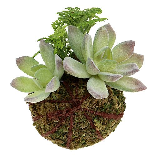 Floristik24 Kokedama Kunstig Grønn Ø8cm