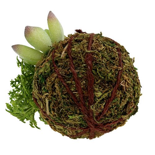 Floristik24 Kokedama Kunstig Grønn Ø8cm