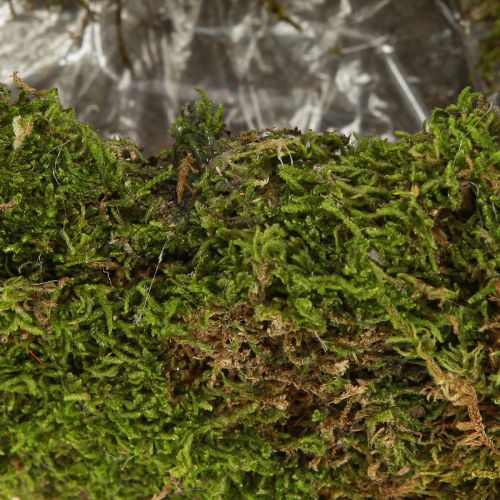 gjenstander Dekorativ blomsterkasse av mose, halvmåneformet med metallbase, naturlig dekorasjon for oppholdsrom og feiringer, 40 × 15 × 30 cm