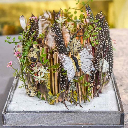 Floristik24 Mühlenbeckia Bush Grønn 42cm