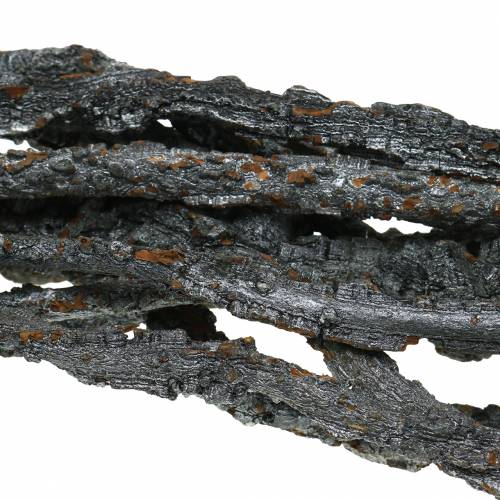 Floristik24 Korkeik greiner Muruku greiner sort 100cm 10 stk