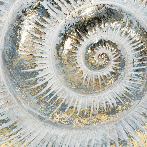 gjenstander Dekorativ snegleformet beholder for maritim og naturlig veggdesign, grå, 21 cm