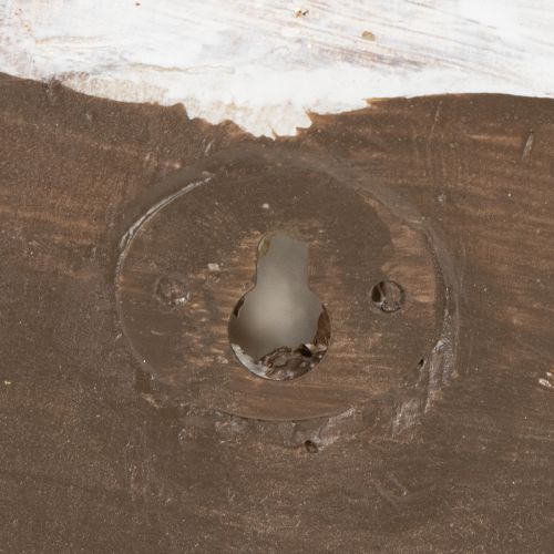 gjenstander Dekorativ snegleformet beholder for maritim og naturlig veggdesign, grå, 21 cm