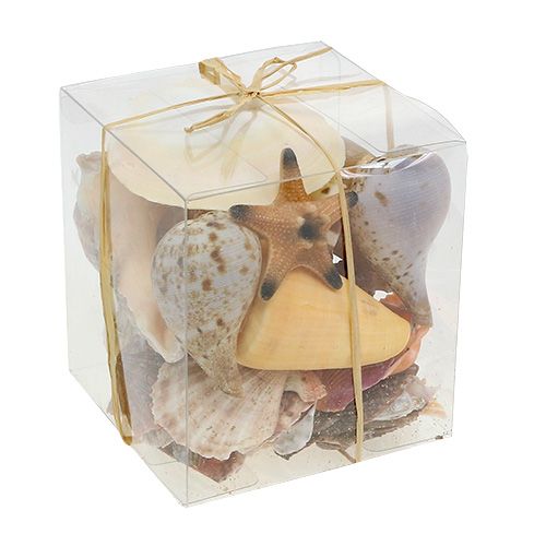 Floristik24 Blåskjellblanding i en eske naturlig 380g