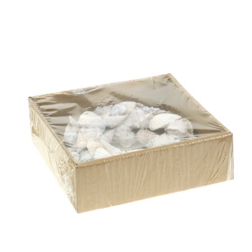 Floristik24 Skallkrans hvit Ø14cm