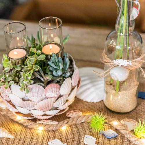 Floristik24 Blåskjellblanding natur 500g