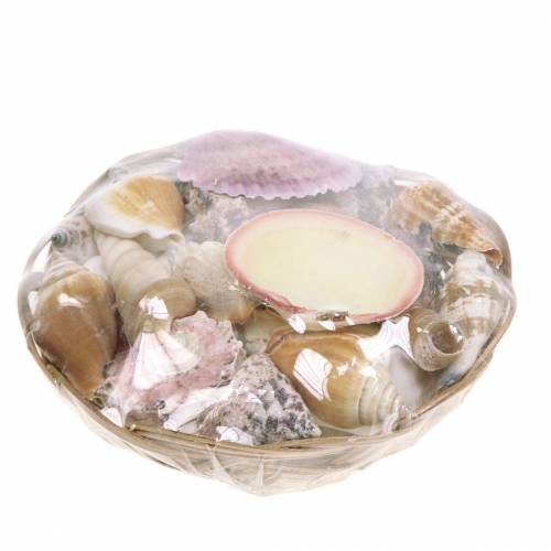 Floristik24 Skallblanding i en naturlig kurv Ø15cm 420g