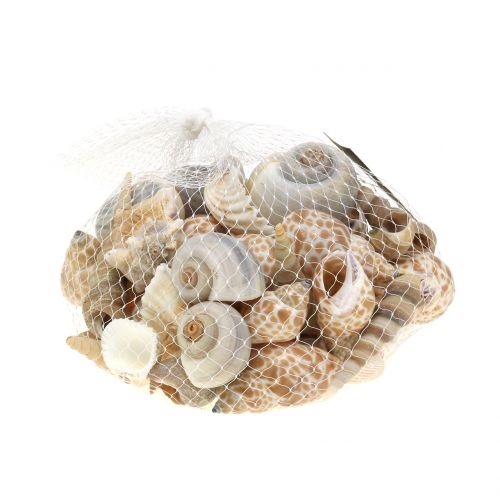 Floristik24 Skallblanding naturlig 500g