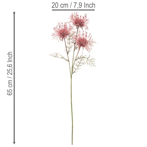 Kunstig blomst nålepute protea blomstrende gren 65 cm 3 stk | Floristik24.no