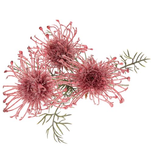 Kunstig blomst nålepute protea blomstrende gren 65 cm 3 stk | Floristik24.no