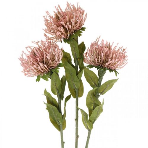gjenstander Høstblomst nålepute kunstig Protea Rosa Leucospermum 73cm 3stk
