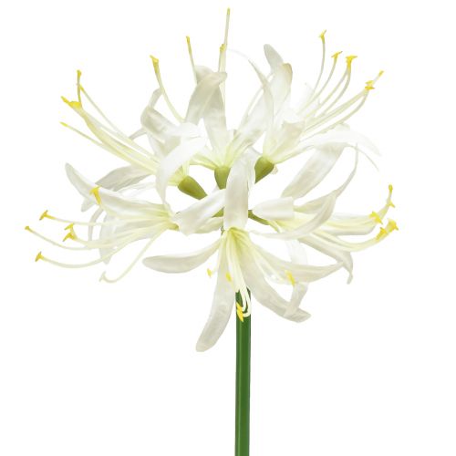 Nerine Guernsey Lily Kunstig Blomst Hvit Gul Ø15cm L65cm