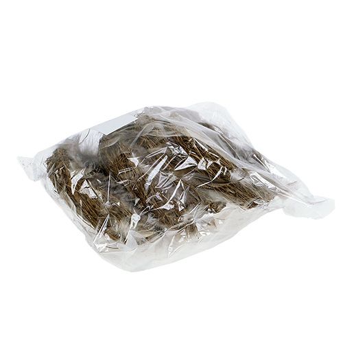 Floristik24 Reir med fjær 15cm naturlig 4stk