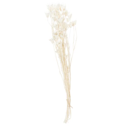 gjenstander Tørkede Nigella-blomster, bukett med elegant naturlig dekorasjon for eksklusivt interiør, 70 cm, 50 g