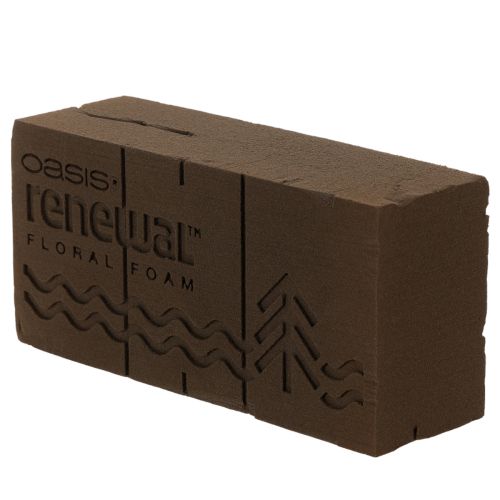 Oasis Renewal Blomsterskum 23cm 1 Kloss | Floristik24.no