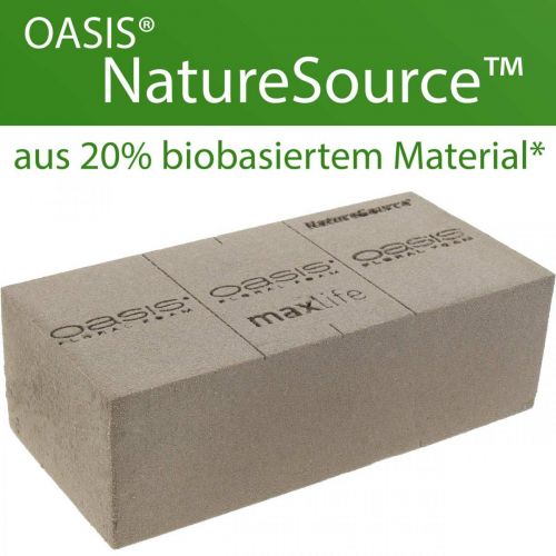 OASIS® BIOLIT® NatureSource murstein blomsterskum 23cm×11cm×7cm 10 stk.