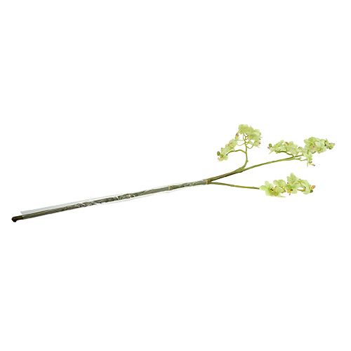 Floristik24 Orkide 97cm lys grønn