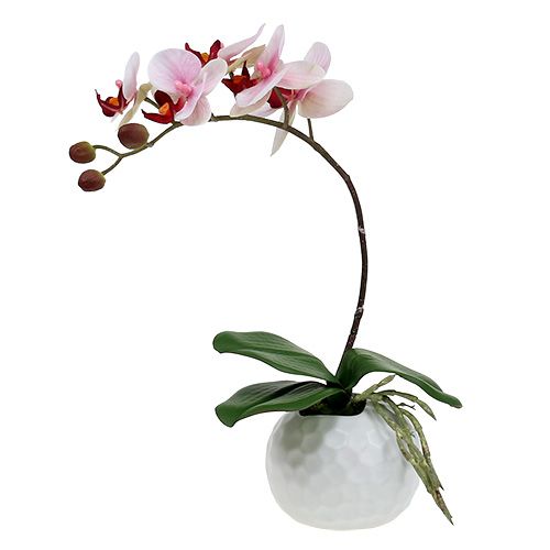 gjenstander Rosa orkidé i keramikkkrukke 31cm
