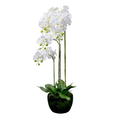 Floristik24 Orkidé hvit med klode 110cm