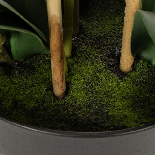 gjenstander Kunstig orkide i potte for en harmonisk atmosfære, hvit, 60 cm