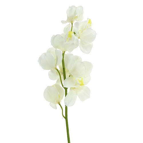 gjenstander Kunstig orkidekrem 50cm 6stk