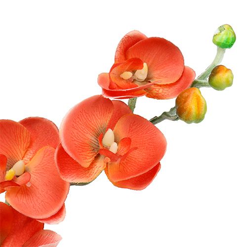 gjenstander Orchid to greiner 60cm oransje