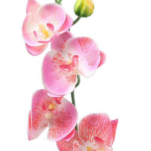 Orchid Phalaenopsis kunstig rosa 60cm | Floristik24.no