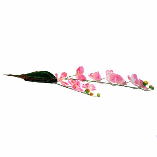 Orchid Phalaenopsis kunstig rosa 60cm | Floristik24.no